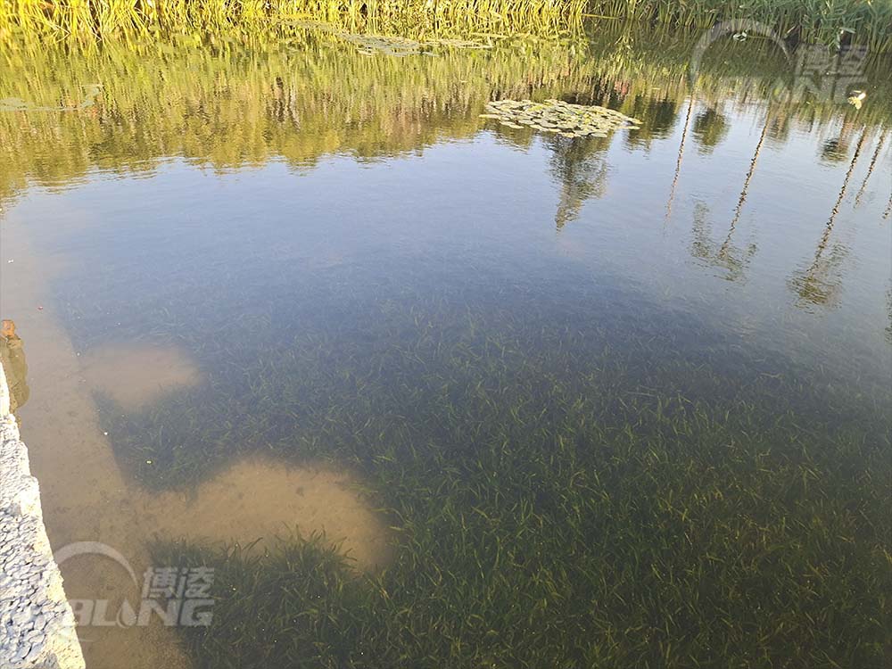 角斜污水厂生态安全缓冲区