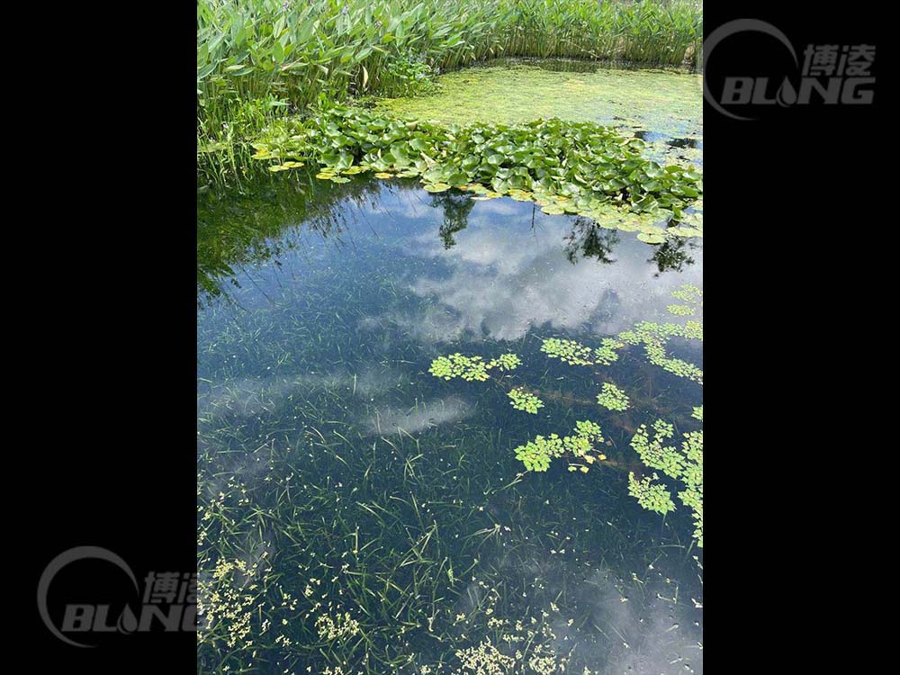 角斜污水厂生态安全缓冲区